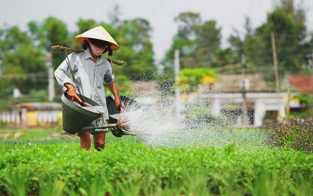 Bật mí danh sách 20 địa điểm du lịch Quảng Nam không đi là phí