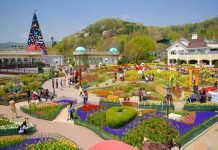 Top 7 công viên giải trí nổi tiếng mà khách du lịch Hàn Quốc phải đến