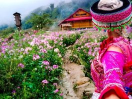 Du lịch Sapa